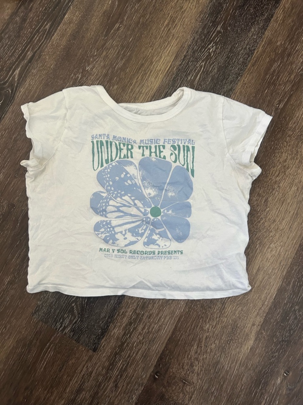 Hollister Graphic Cropped Tee